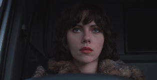 언더 더 스킨 (Under the Skin, 2014)